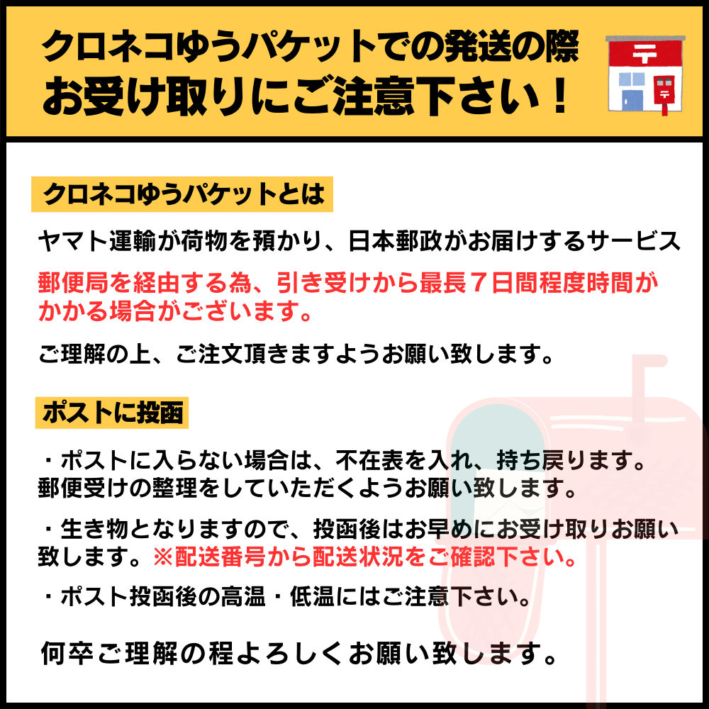 【有精卵5個】メダカの卵 深海【めだか】目高 生体 深海メダカ 観賞魚 たまご ゾウリムシ ミジンコ PSB と同梱可能 生クロレラ同梱不可 |  | 01