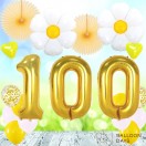 100日祝いバルーンセット