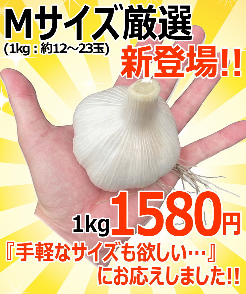 M登場