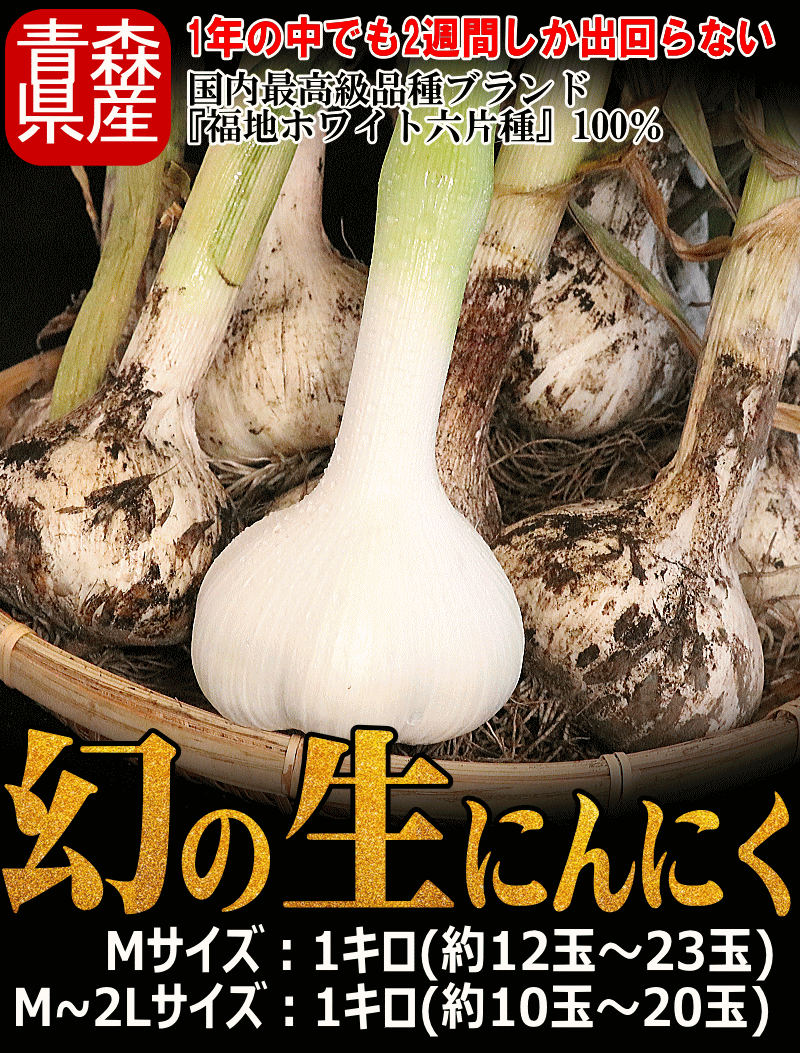 青森にんにく 生1kg