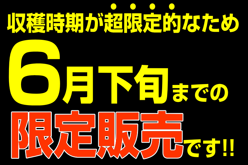 限定販売