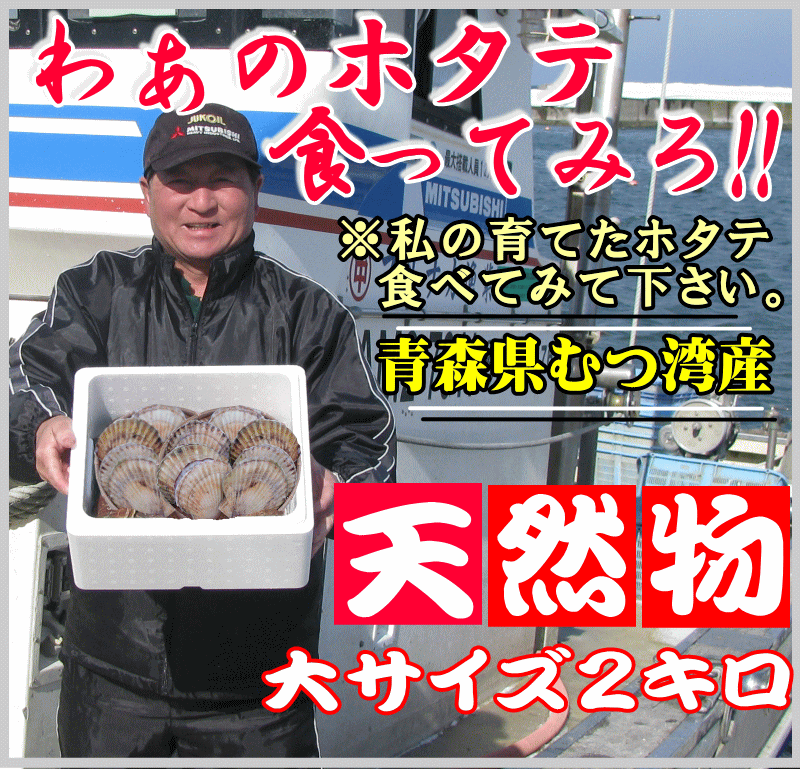 ほたて　殻付き 天然大２キロ