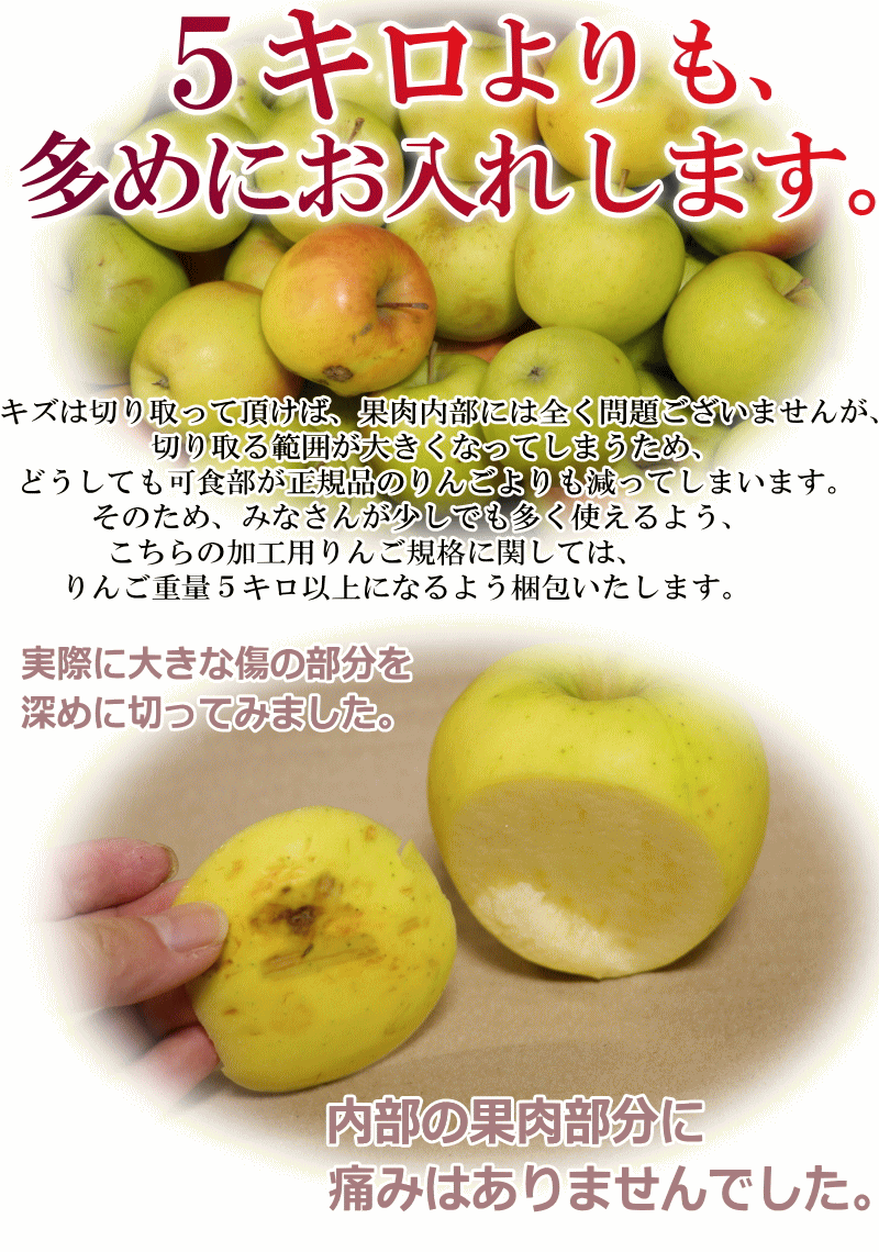 リンゴ 5kg以上でお届け