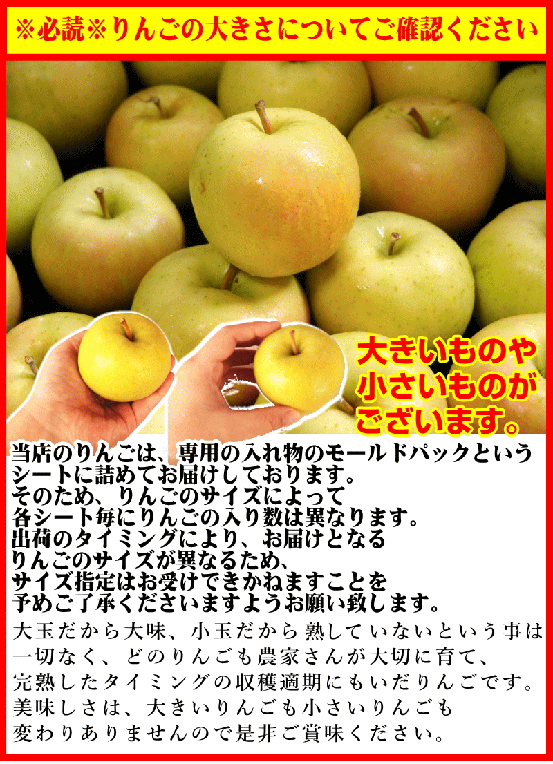 あすつく 青森 りんご 10kg箱 ぐんま名月 送料無料 家庭用/訳あり 青森