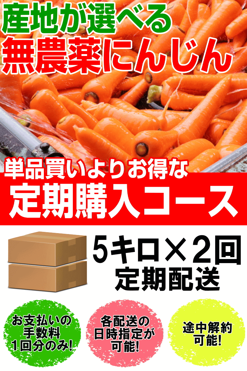 P10倍+クーポンで10％引き！無農薬人参 ジュース用に最適 定期購入 産地が選べる無農薬にんじんＢ品５キロ×２回 計10キロ 訳あり クール便対応  : 1010 : 青森期待の新人商店 - 通販 - Yahoo!ショッピング