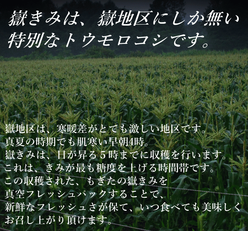 朝採り