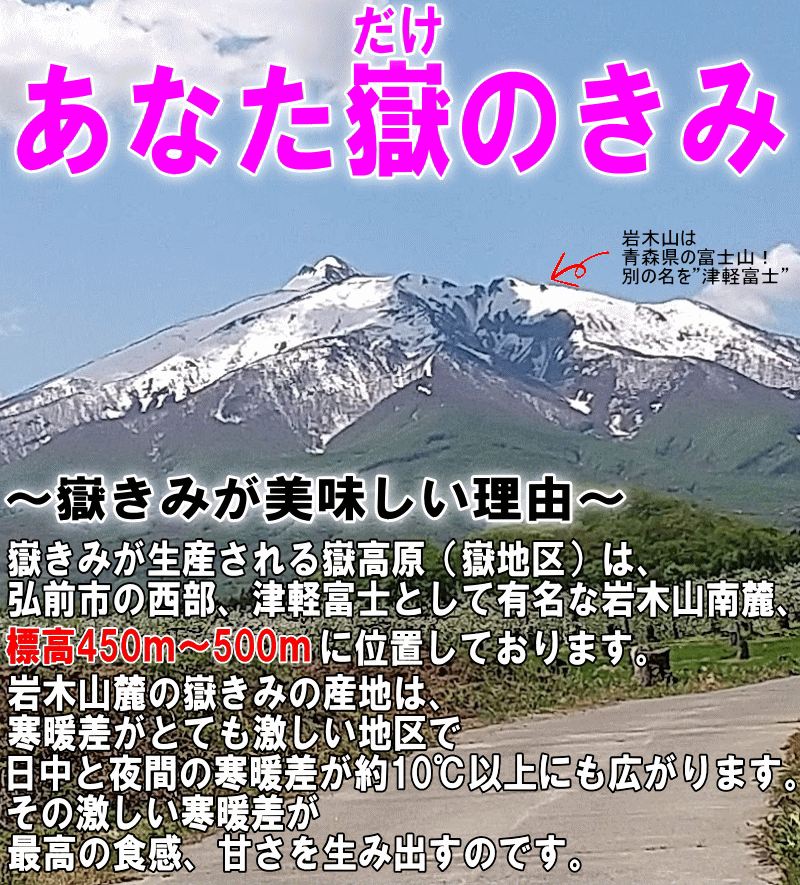 嶽地区より