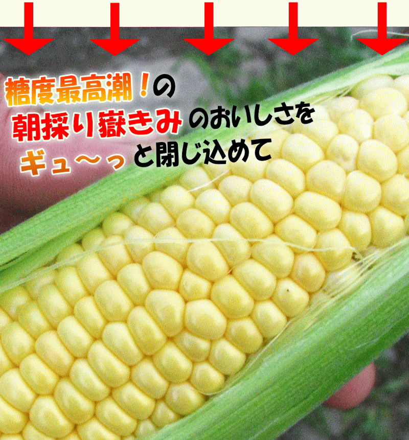 送料無料】青森産 嶽きみ とうもろこし 5本セット 真空パック【ご注文