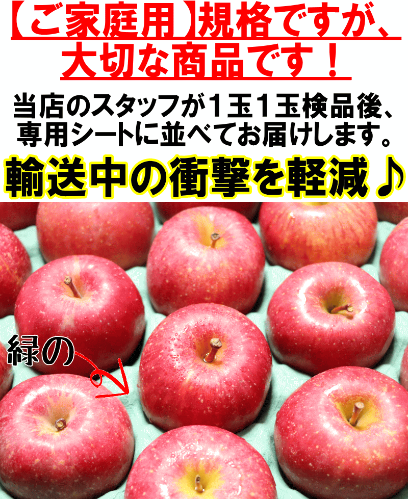 家庭用リンゴ　モールド梱包