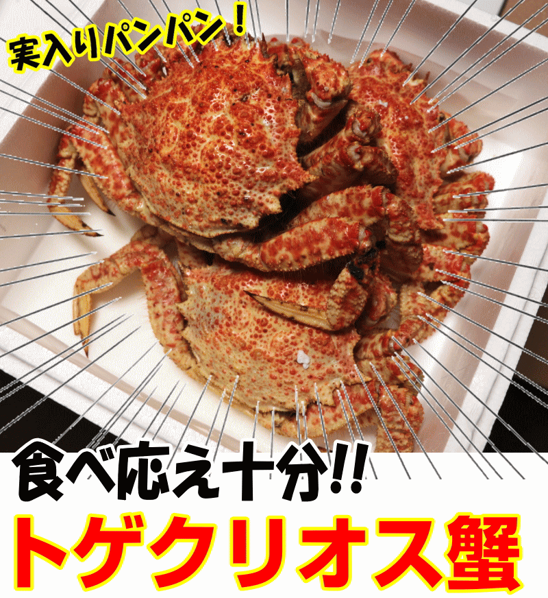 大きいオス