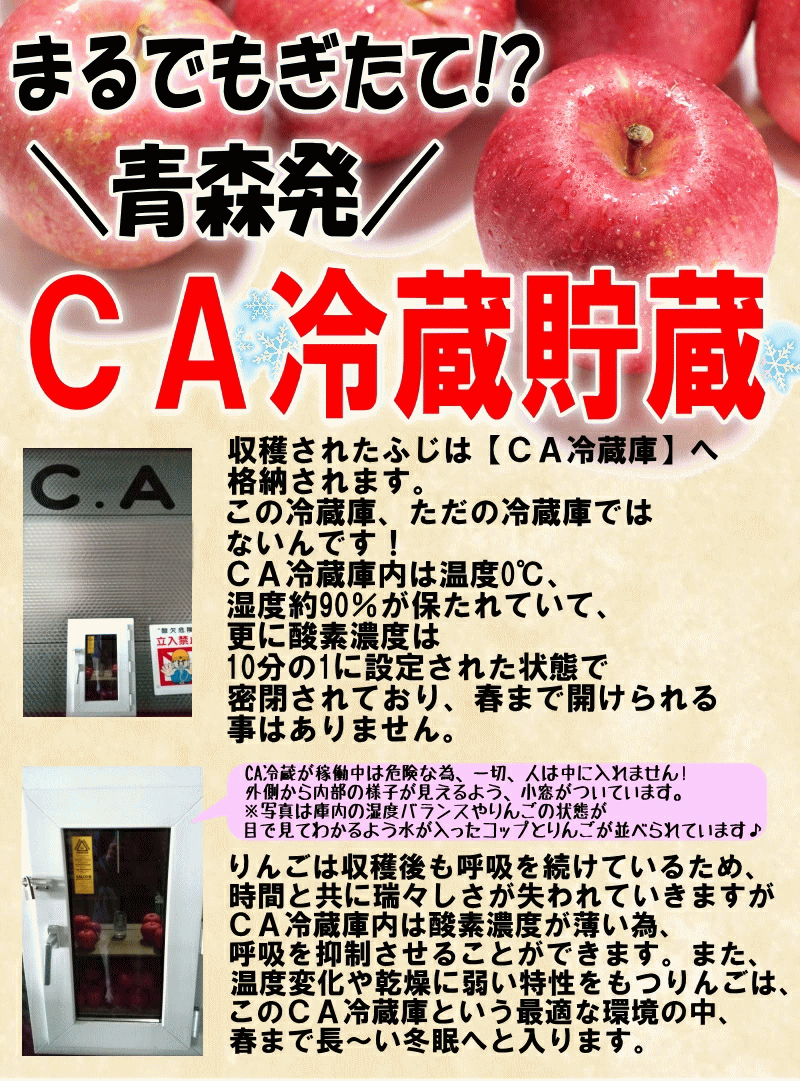CA冷蔵貯蔵
