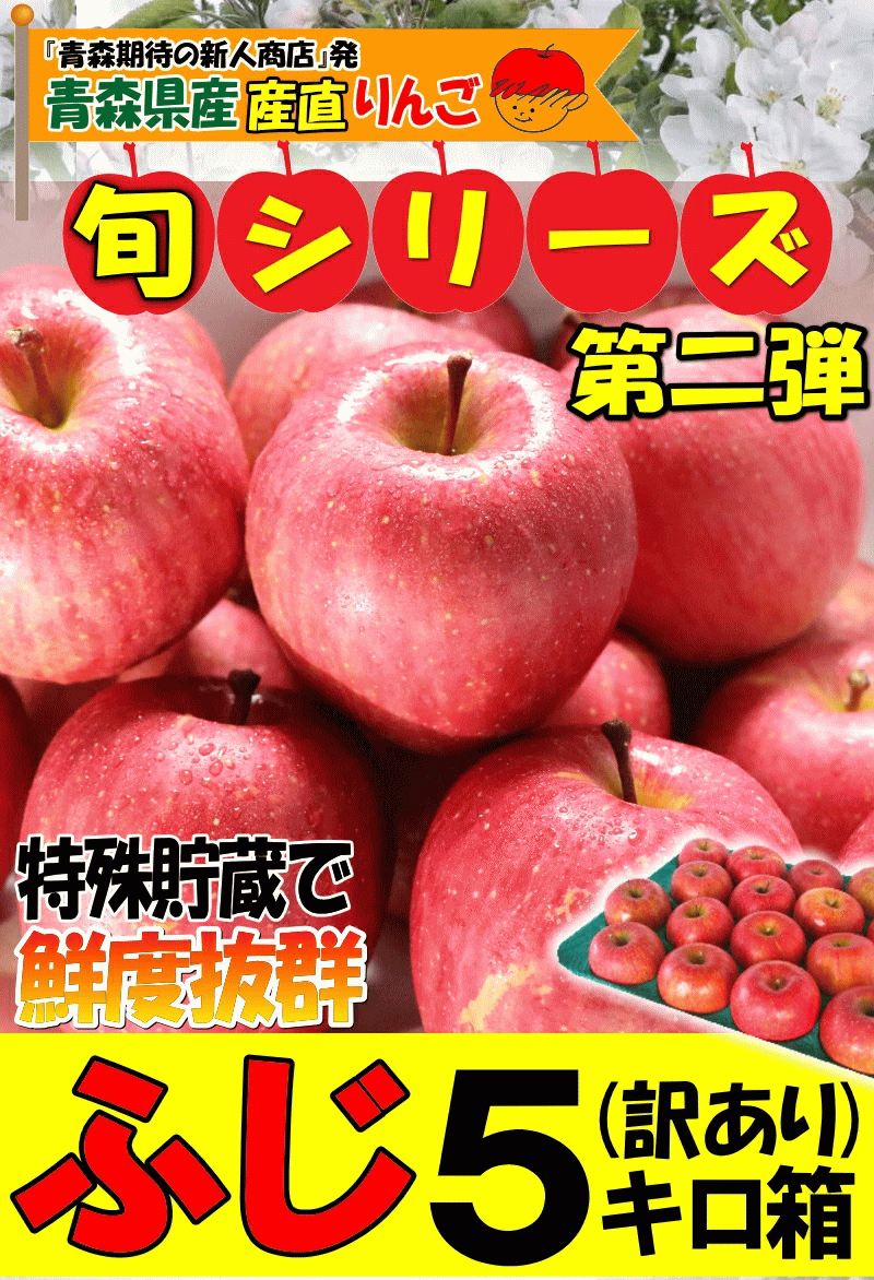 サンふじ りんご 8個入り 北海道 あすつく 送料無料 沖縄除く