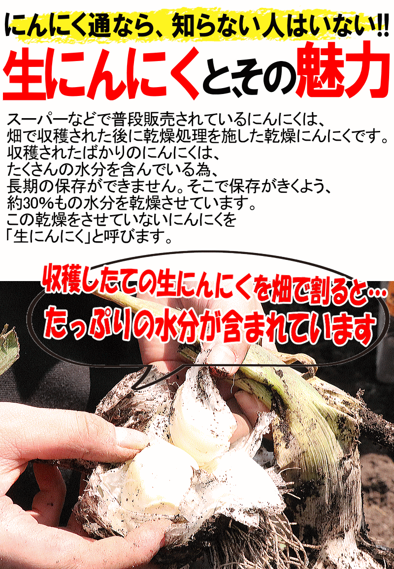魅力