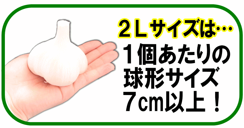 感謝祭】半額！にんにく 青森 1kg 特級品/A品 2Lサイズ 大玉厳選！国産 ニンニク Ａ品1キロ 中国産と比べて : 1230a2l :  青森期待の新人商店 - 通販 - Yahoo!ショッピング