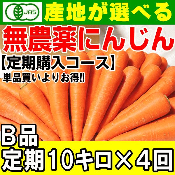 人参｜野菜｜食品 通販 - Yahoo!ショッピング