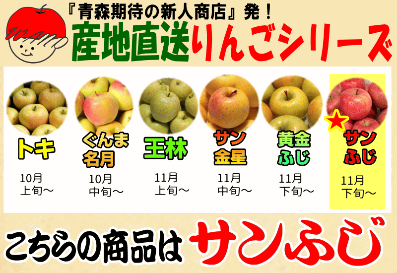 774円 大流行中! りんご 3kg箱 あすつく 青森 ふじ ご家庭用 リンゴ クール便対応 3キロ箱 774円 大流行中! りんご 3kg箱 あすつく 青森 ふじ ご家庭用 リンゴ クール便対応 3キロ箱