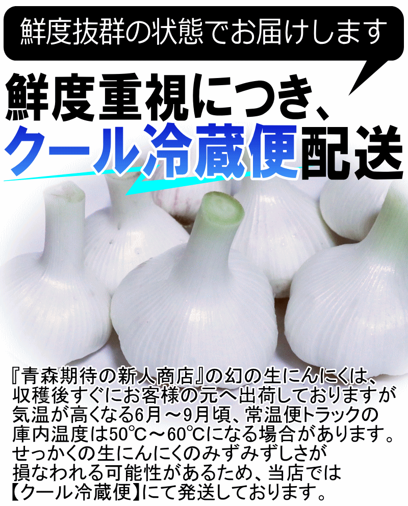 クール冷蔵