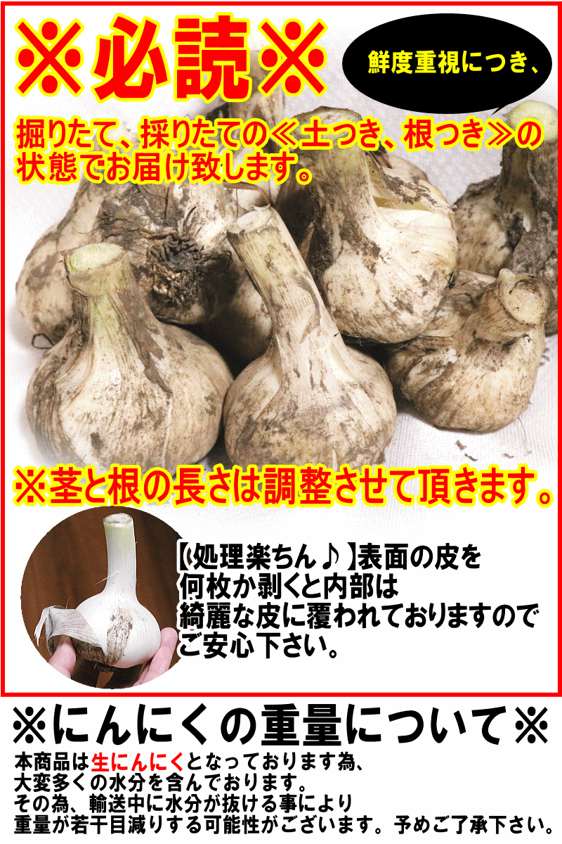 使い方