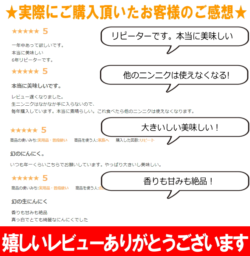 レビュー