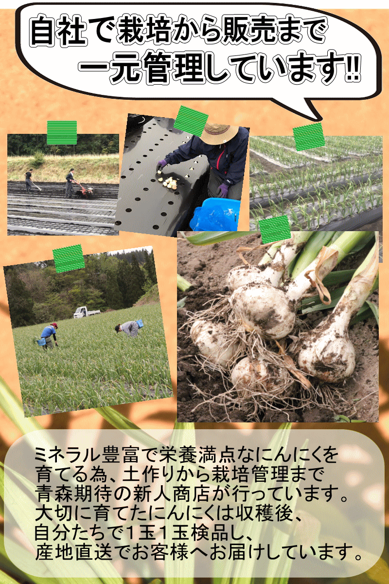 自社生産