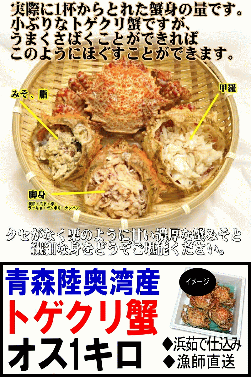 トゲクリ蟹の特徴