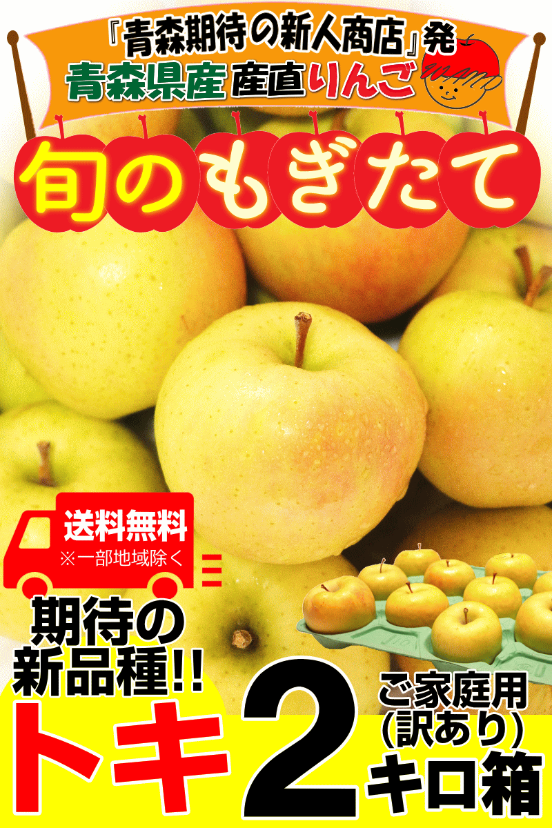 家庭用青森県産りんご2キロ箱