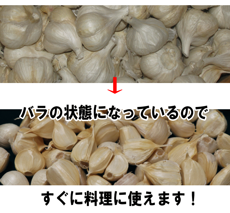 新物！にんにく 青森産 福地ホワイト六片種 バラ 500ｇ 送料無料 訳