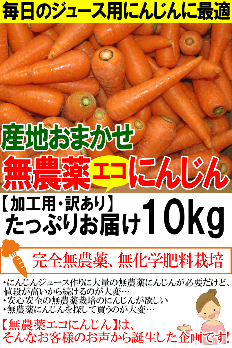 人参ジュースに最適 無農薬にんじん 10kg 加工/ジュース用 訳あり 無