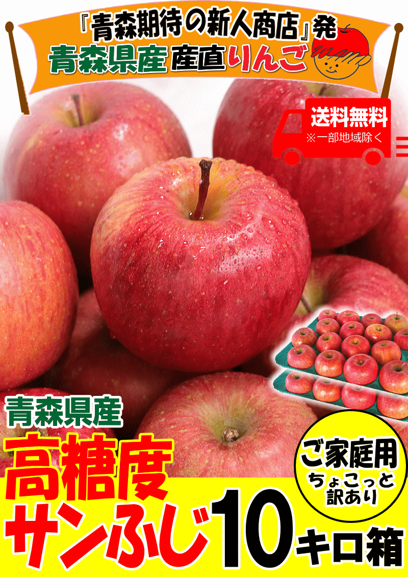 摘果りんご(約10kg)ゆうパック100サイズ 加工用 通販