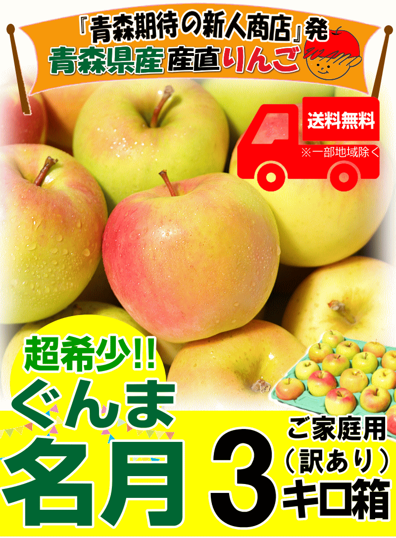 青森県産りんご トキ小玉家庭用3キロ