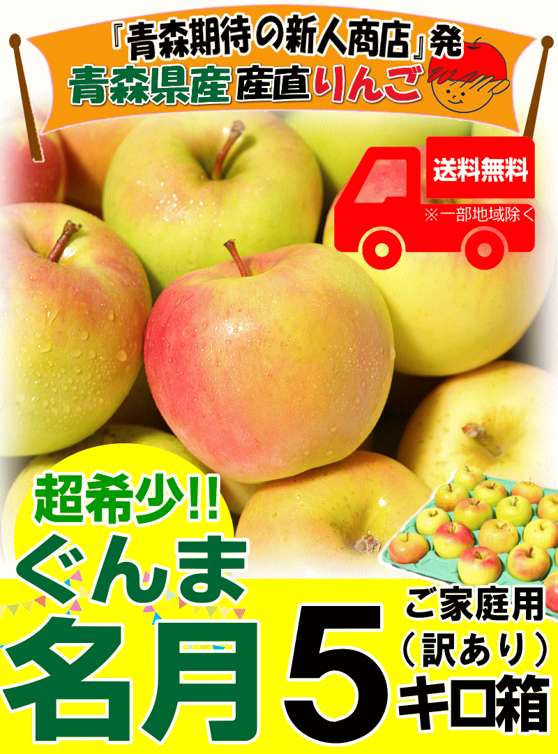 山形県産　ぐんま名月　傷5キロ