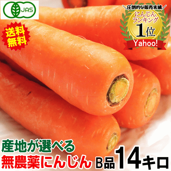 訳あり（人参）｜野菜 | 食品 のおすすめ人気商品一覧 通販 - Yahoo