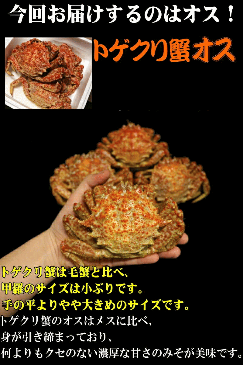 届いてからすぐ食べれます