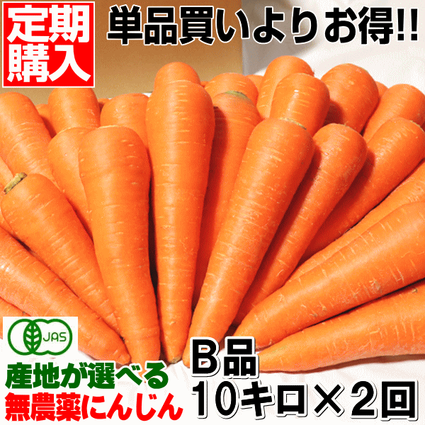 無農薬野菜の商品一覧 通販 - Yahoo!ショッピング