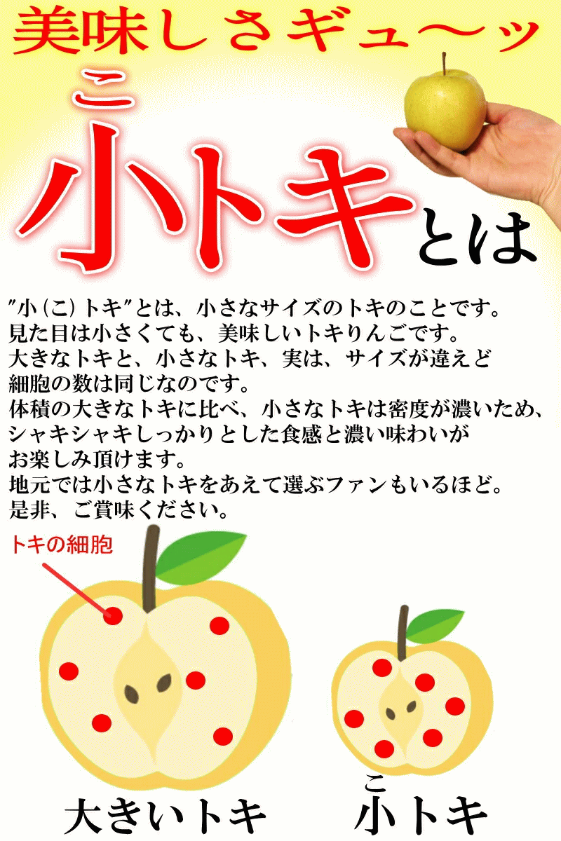 小トキの美味しさ