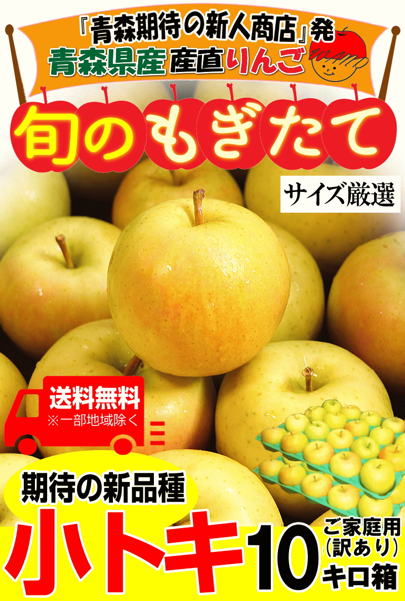 家庭用青森県産りんご10キロ箱