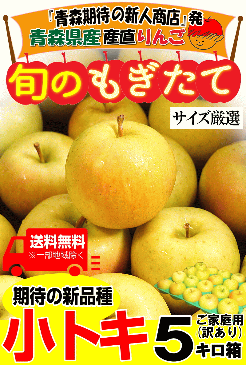 家庭用青森県産りんご5キロ箱