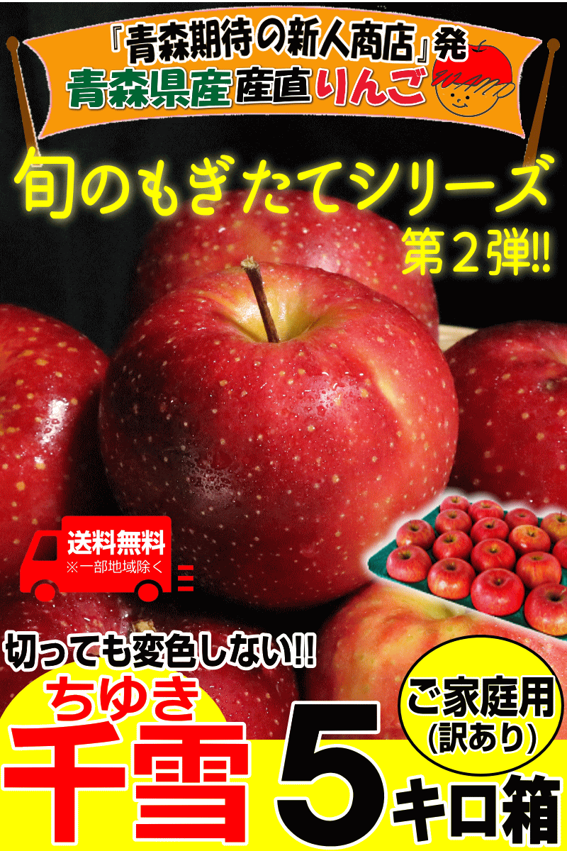 家庭用青森県産りんごサンふじ5キロ箱