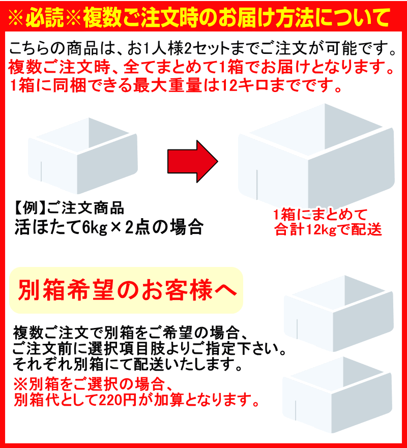 禁輸に負けない!! 青森 ホタテ 殻付き 活ほたて 大サイズ6キロ 送料