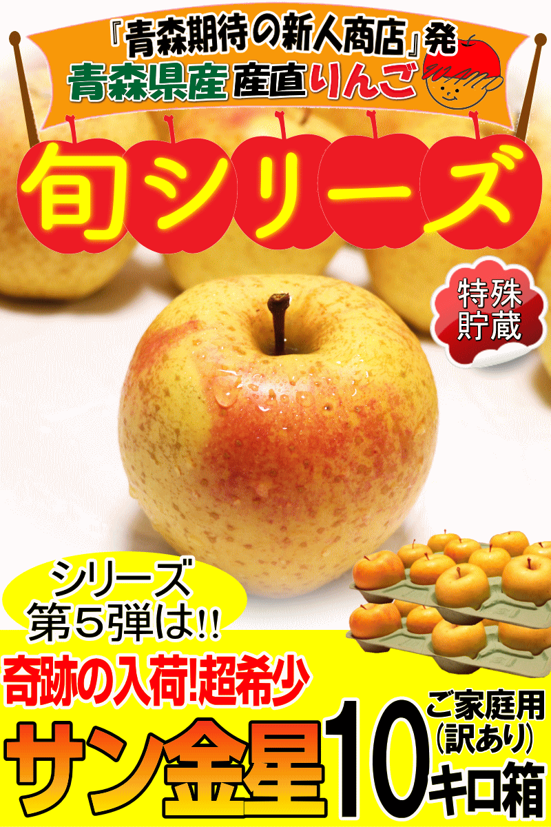 青森県産りんごサン金星10キロ箱