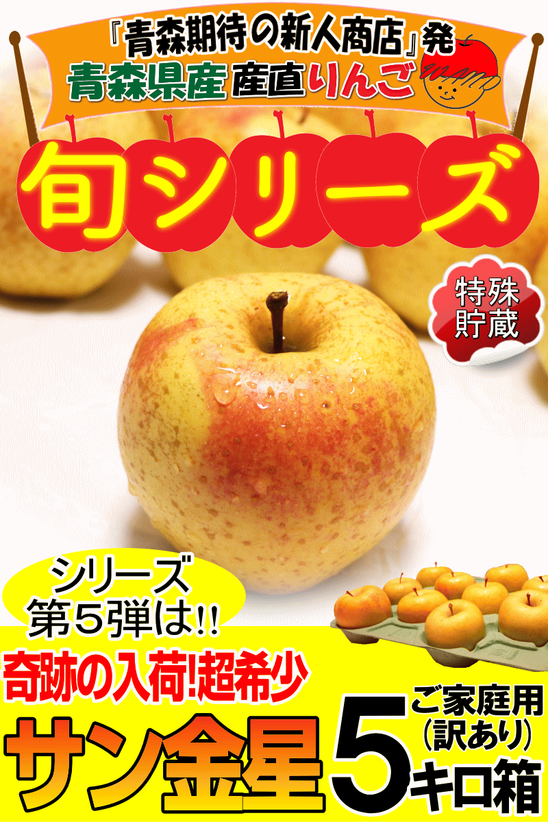 青森県産りんごサン金星5キロ箱