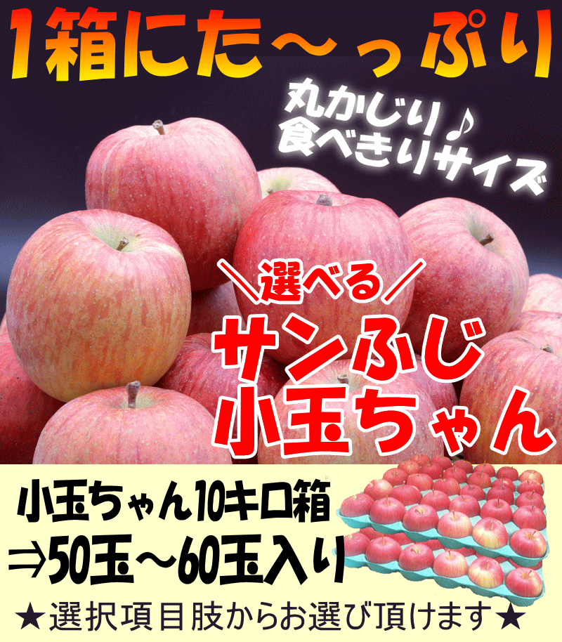 あすつく 青森 りんご 10kg箱 訳あり/家庭用 サンふじ 送料無料 小50玉