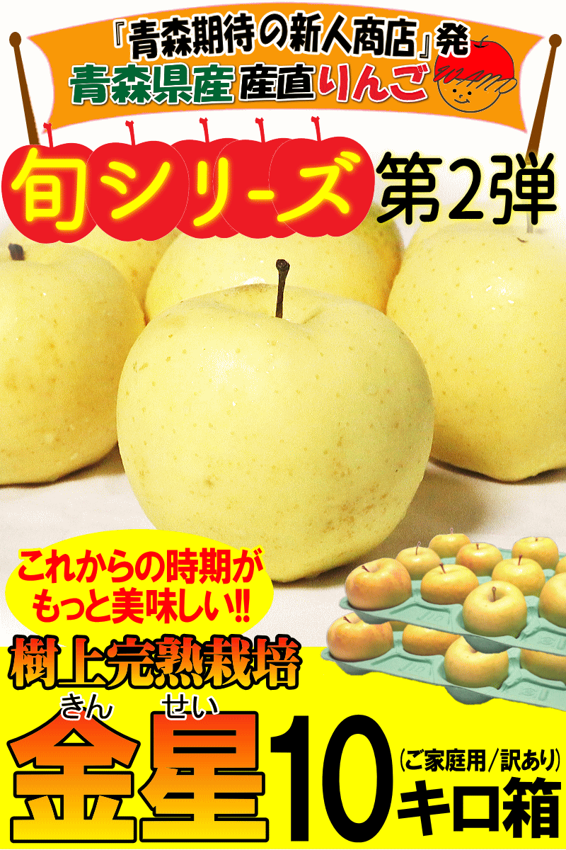青森県産りんご金星10キロ箱
