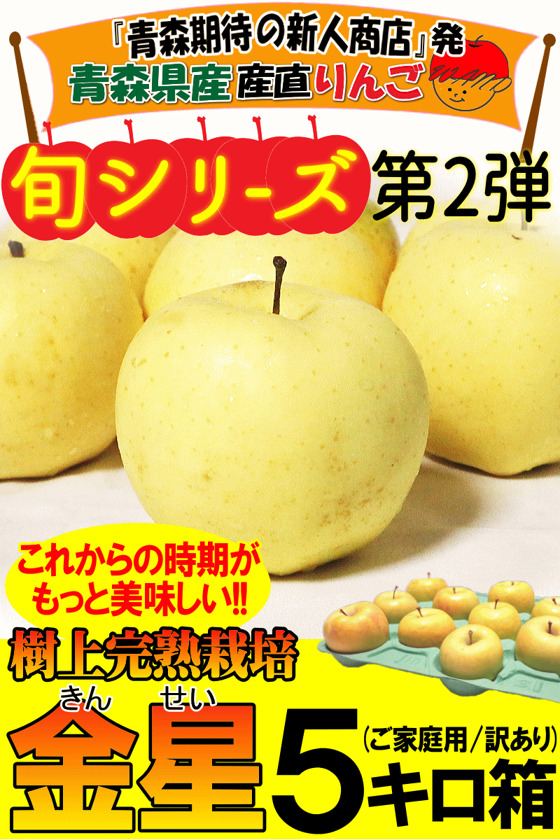 青森県産りんご金星5キロ箱