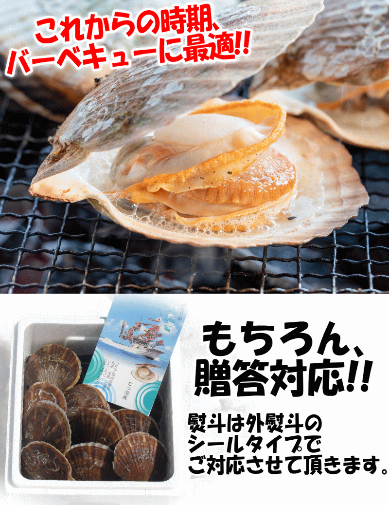 クーポン500円引き 青森 ホタテ 刺身 殻付き 6kg 活ほたて 大サイズ 貝柱が美味 ほたて 1kgあたり5枚〜（6kg 約30枚-48枚） :  9905 : 青森期待の新人商店 - 通販 - Yahoo!ショッピング