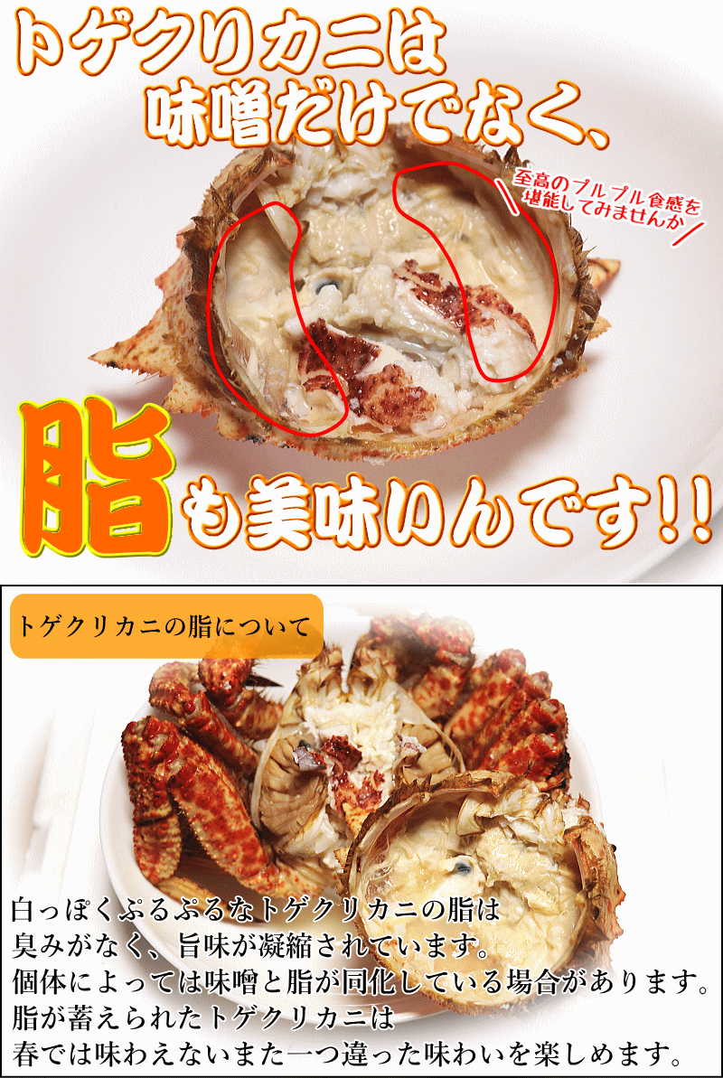 脂もうまいトゲクリカニ