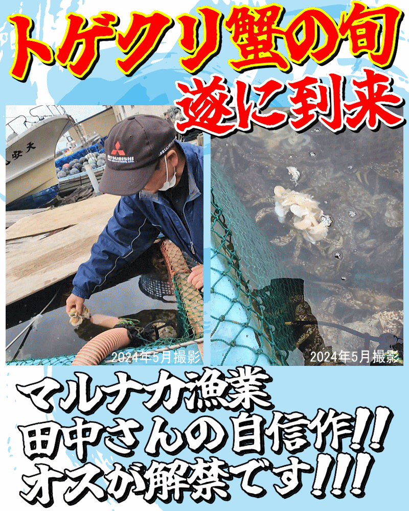 遂に解禁
