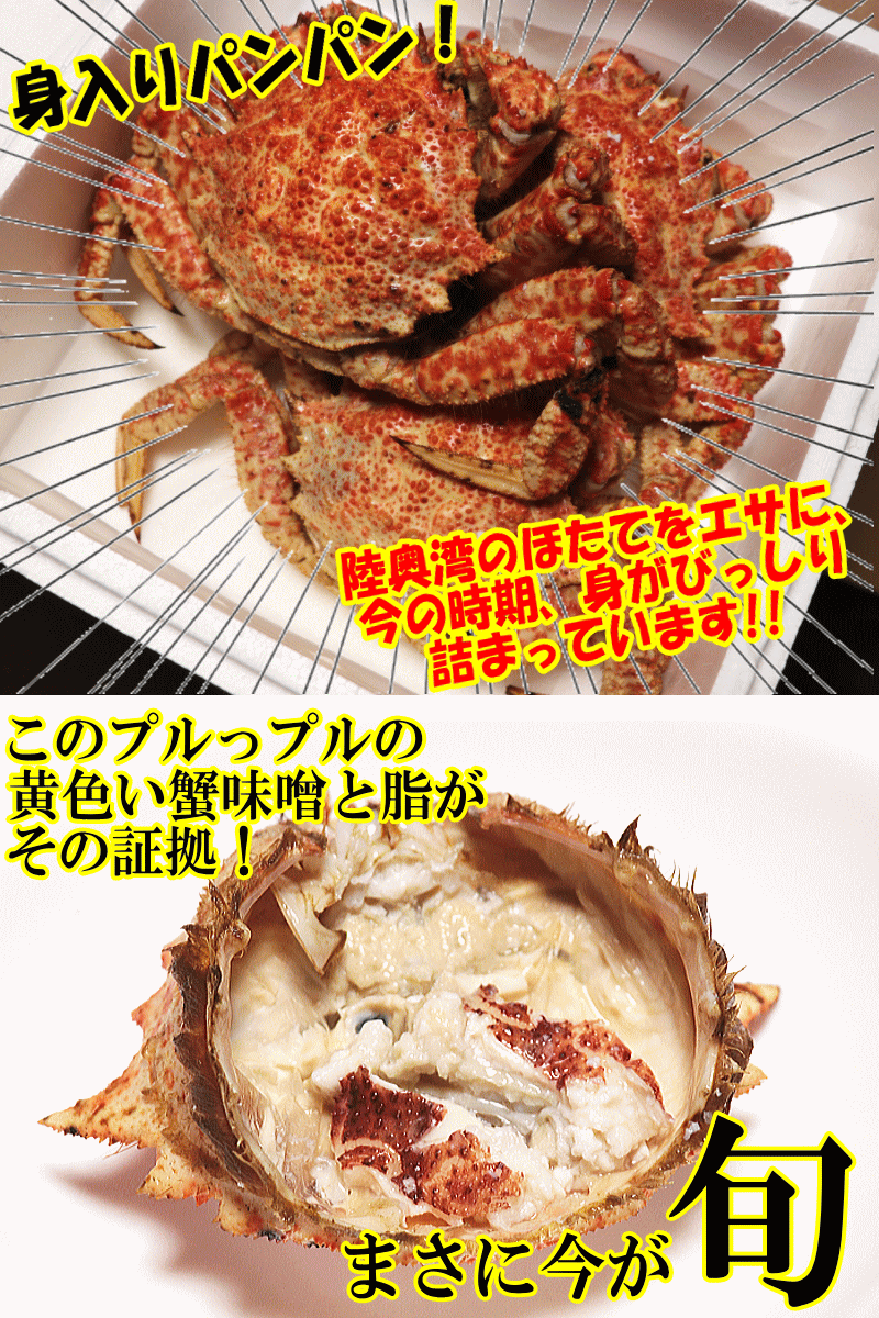大きいオス