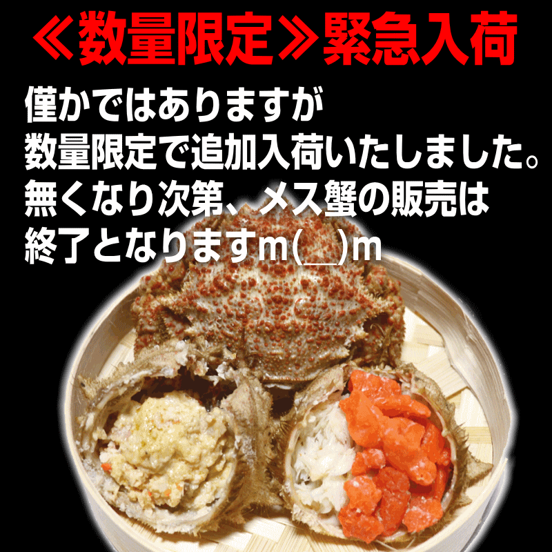 数量限定入荷