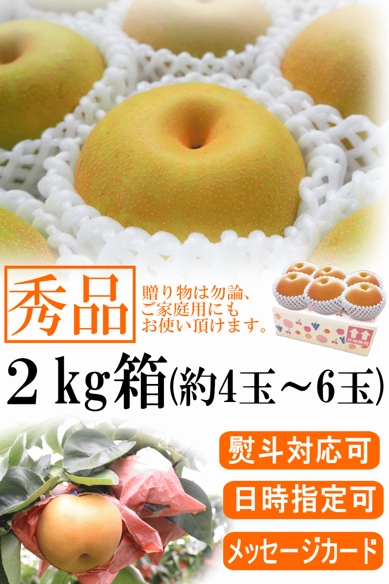 2キロ秀品